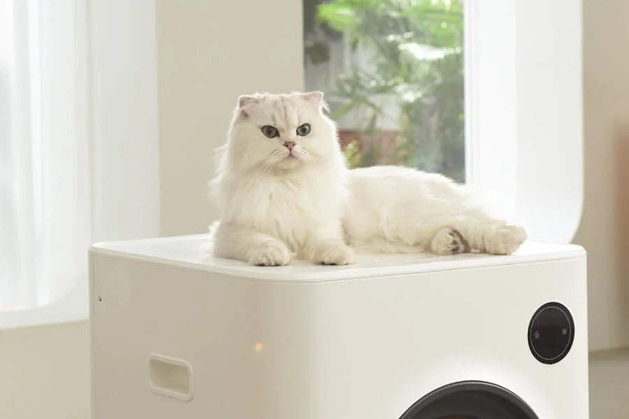 auto kitty litter cleaner