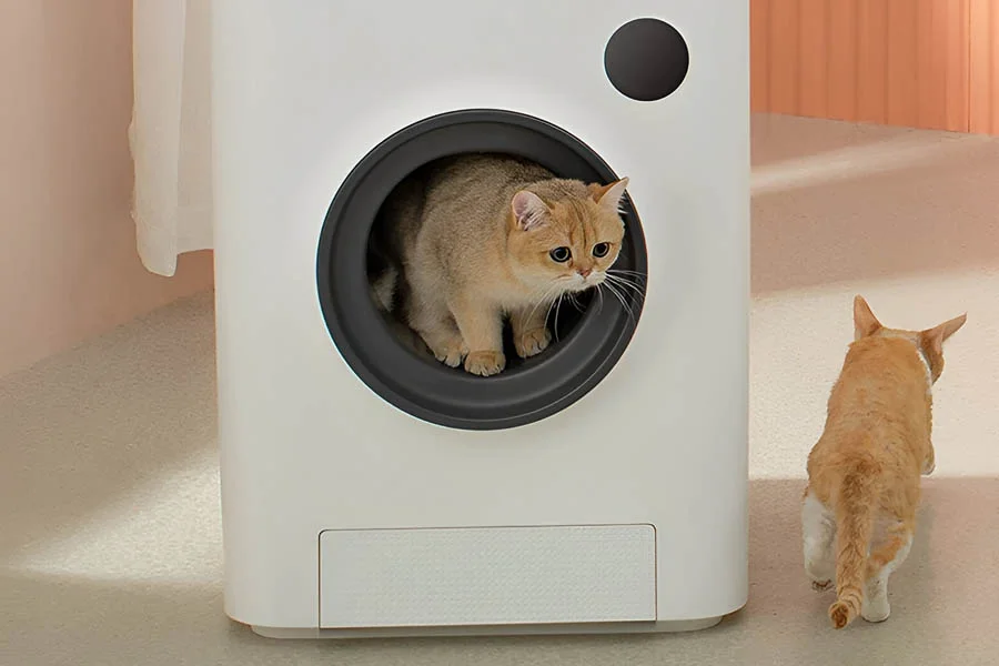 scoopfree automatic cat litter box