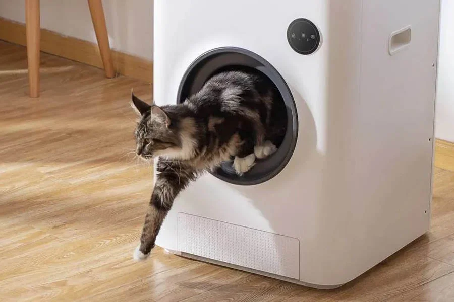 scoopfree automatic cat litter box