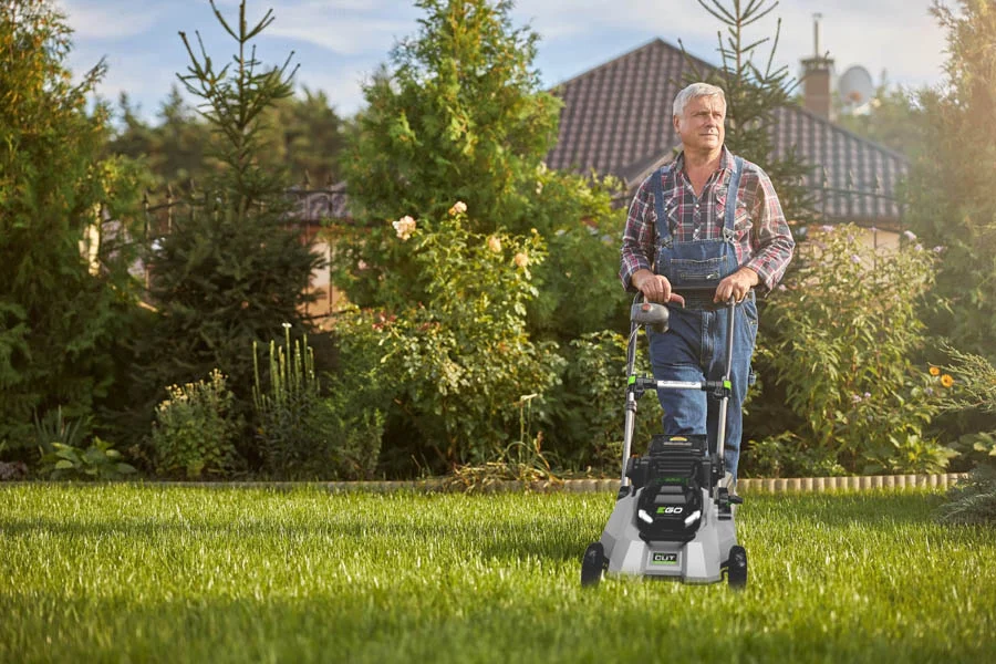 best rechargeable lawn mower