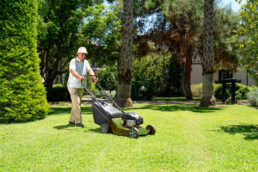 best rechargeable lawn mower